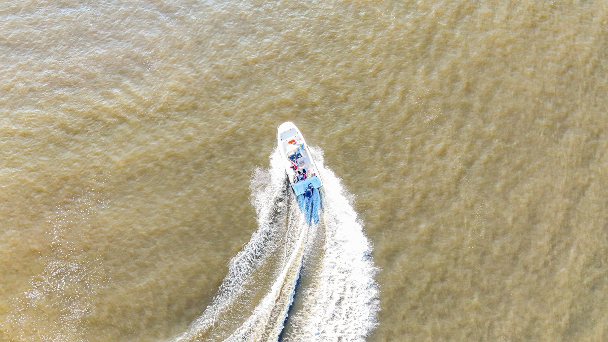 testy na&nbsp;sternika